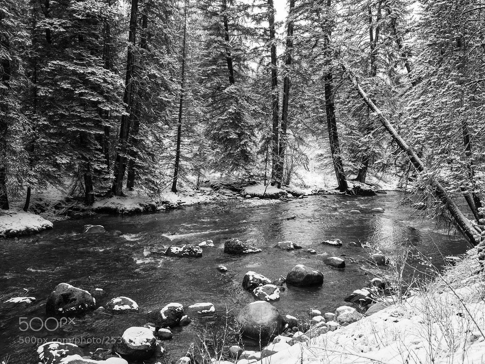 Olympus OM-D E-M10 II sample photo. Streamside vail photography