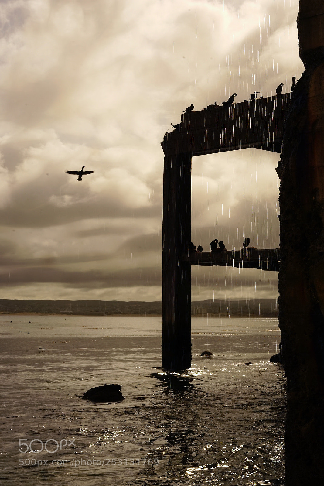 Sony a7 sample photo. Birds on ruins photography