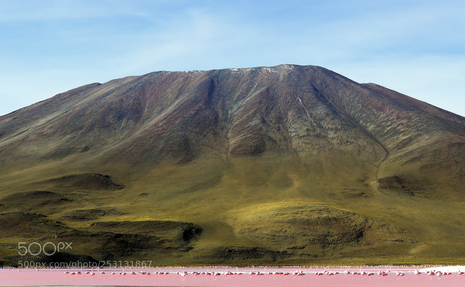 Canon EOS 600D (Rebel EOS T3i / EOS Kiss X5) sample photo. Volcano and flamingos photography