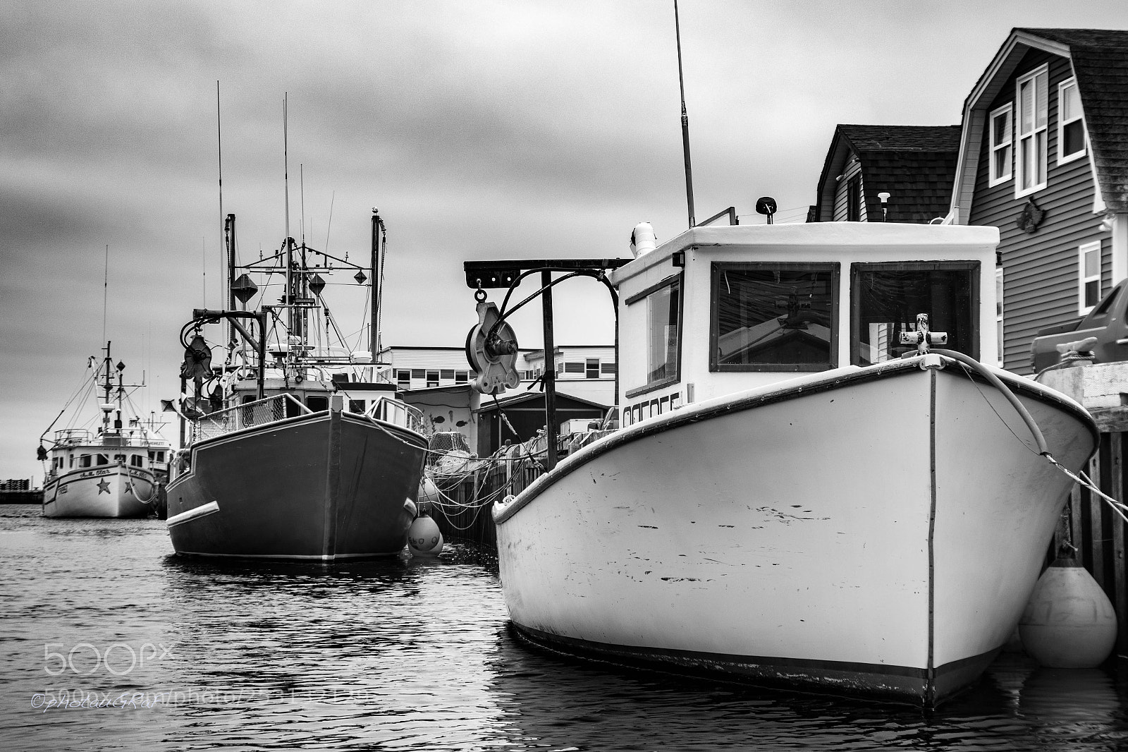 Canon EOS M5 sample photo. Newfoundland photography