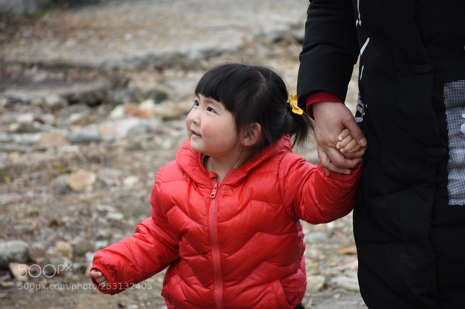 Nikon D7200 sample photo. Untitled photography