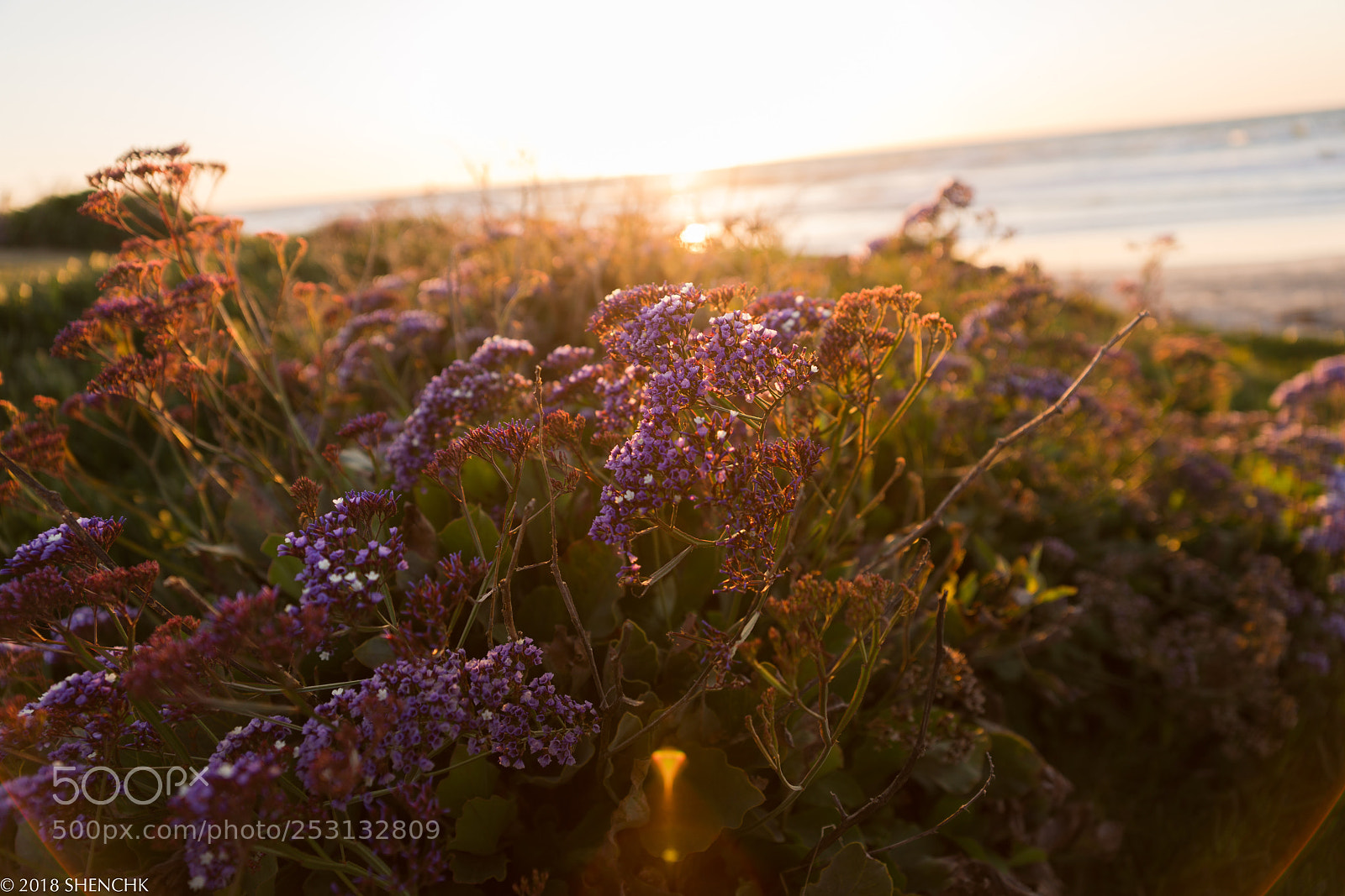 Sony a99 II sample photo. Travel in ca photography
