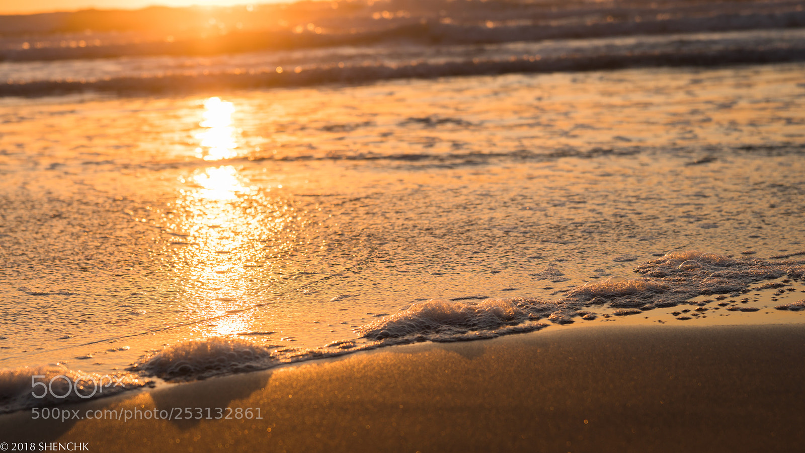 Sony a99 II sample photo. Travel in ca photography