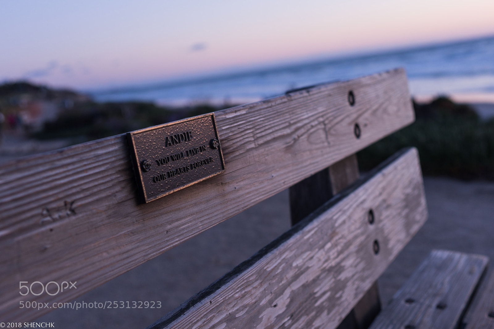 Sony a99 II sample photo. Travel in ca photography
