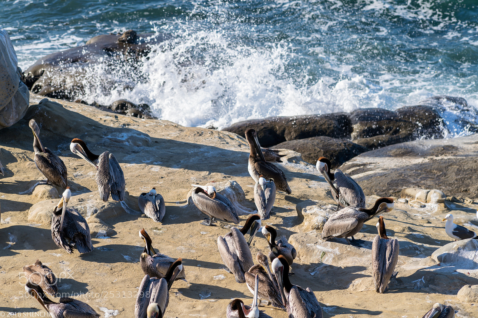 Sony a99 II sample photo. Travel in ca photography