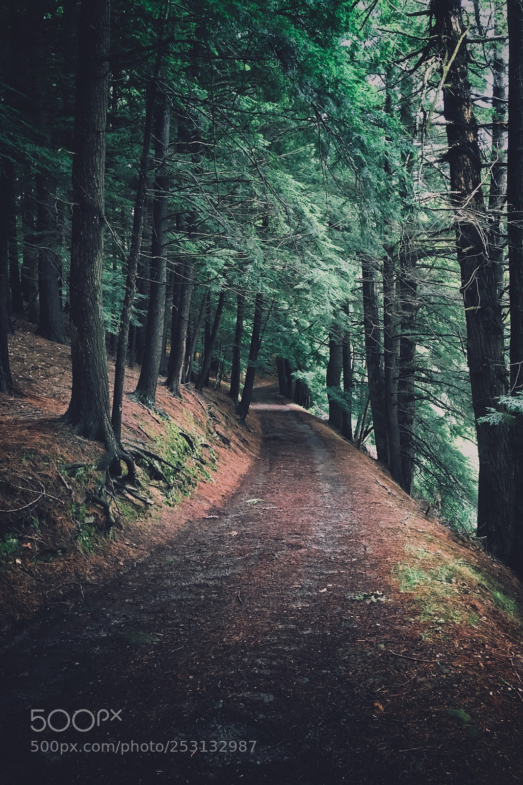 Apple iPhone 6s sample photo. Back road photography
