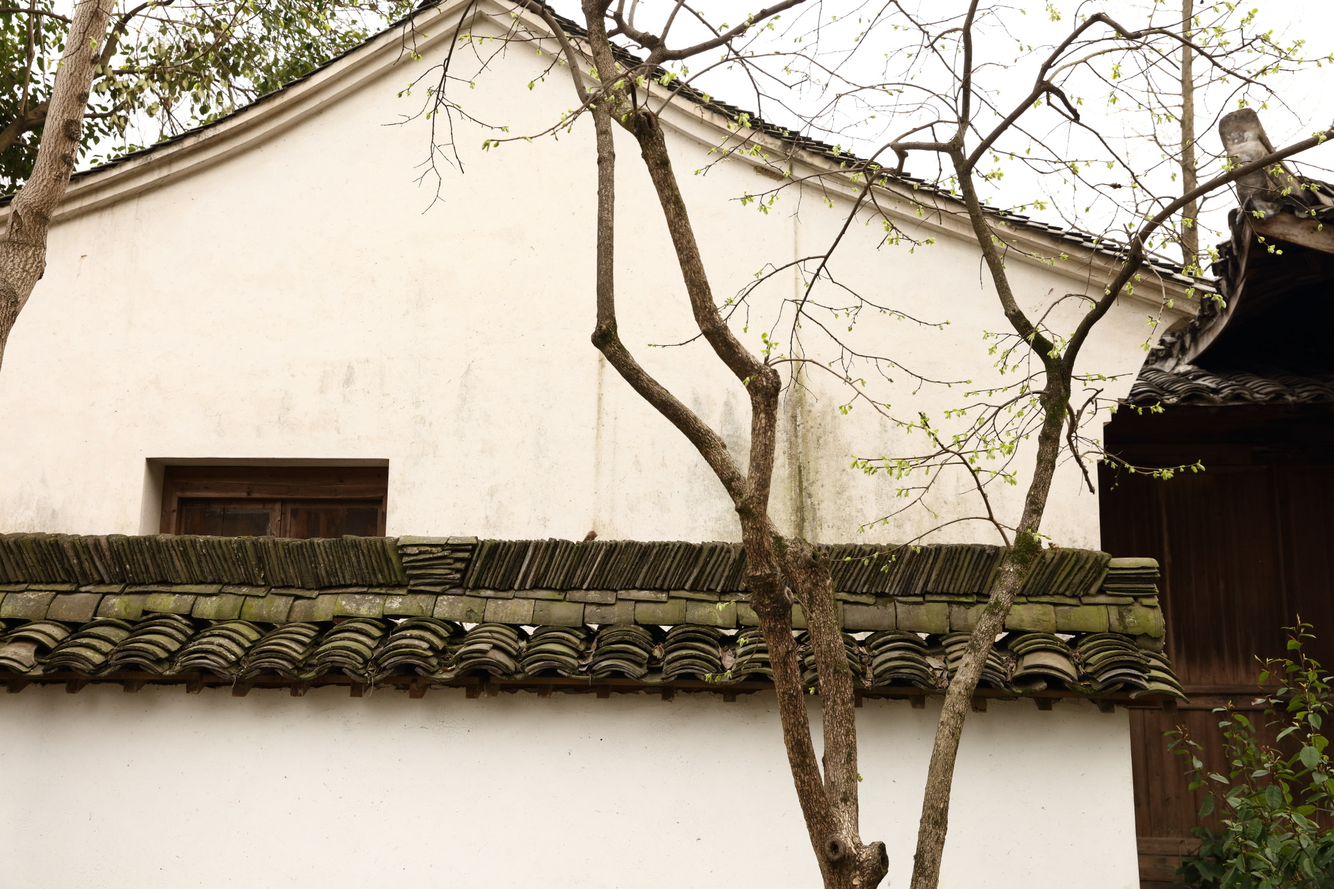 Canon EOS 5DS R sample photo. Hangzhou photography