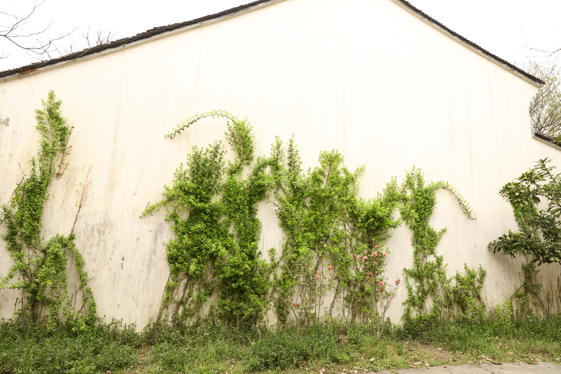 Canon EOS 5DS R sample photo. Hangzhou photography