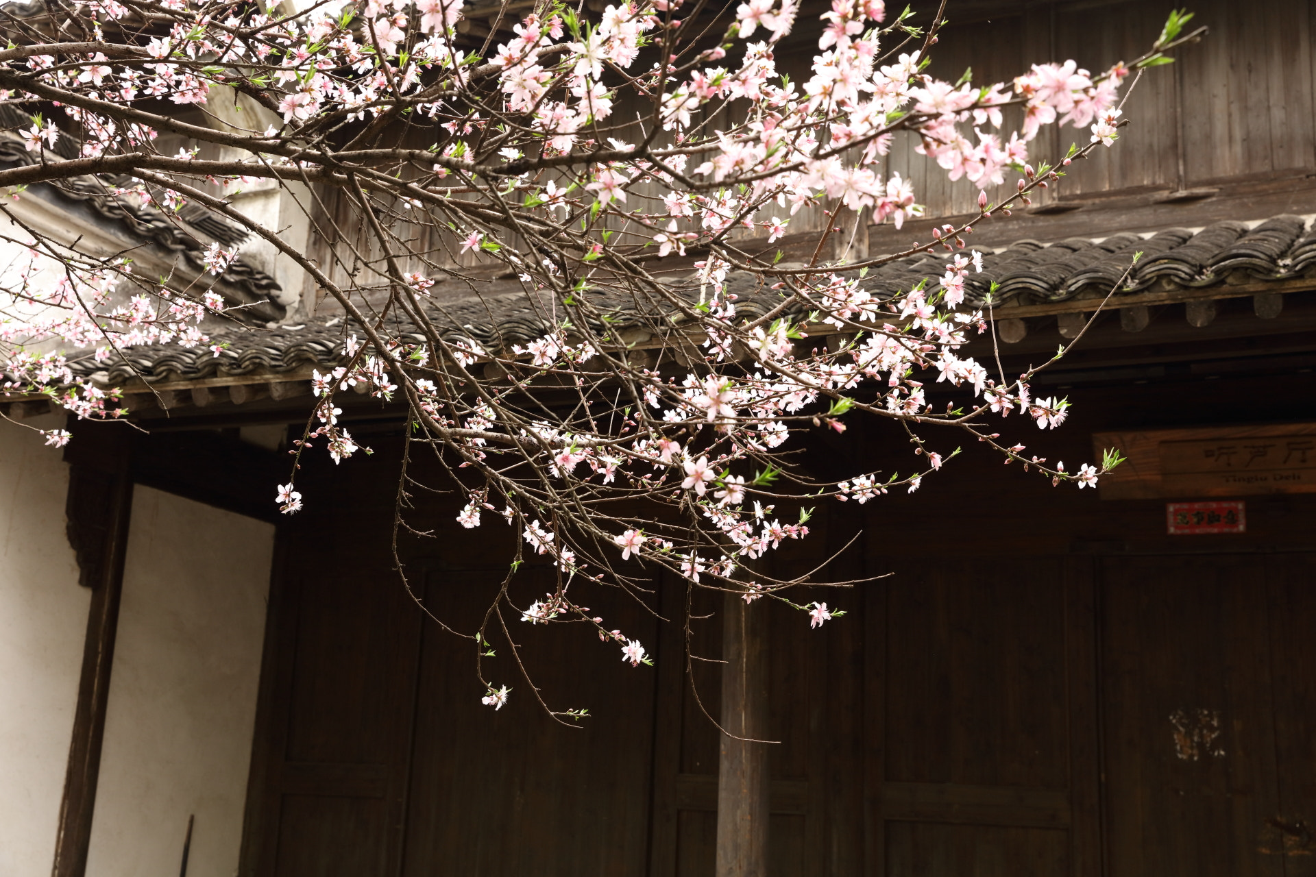 Canon EOS 5DS R sample photo. Hangzhou photography
