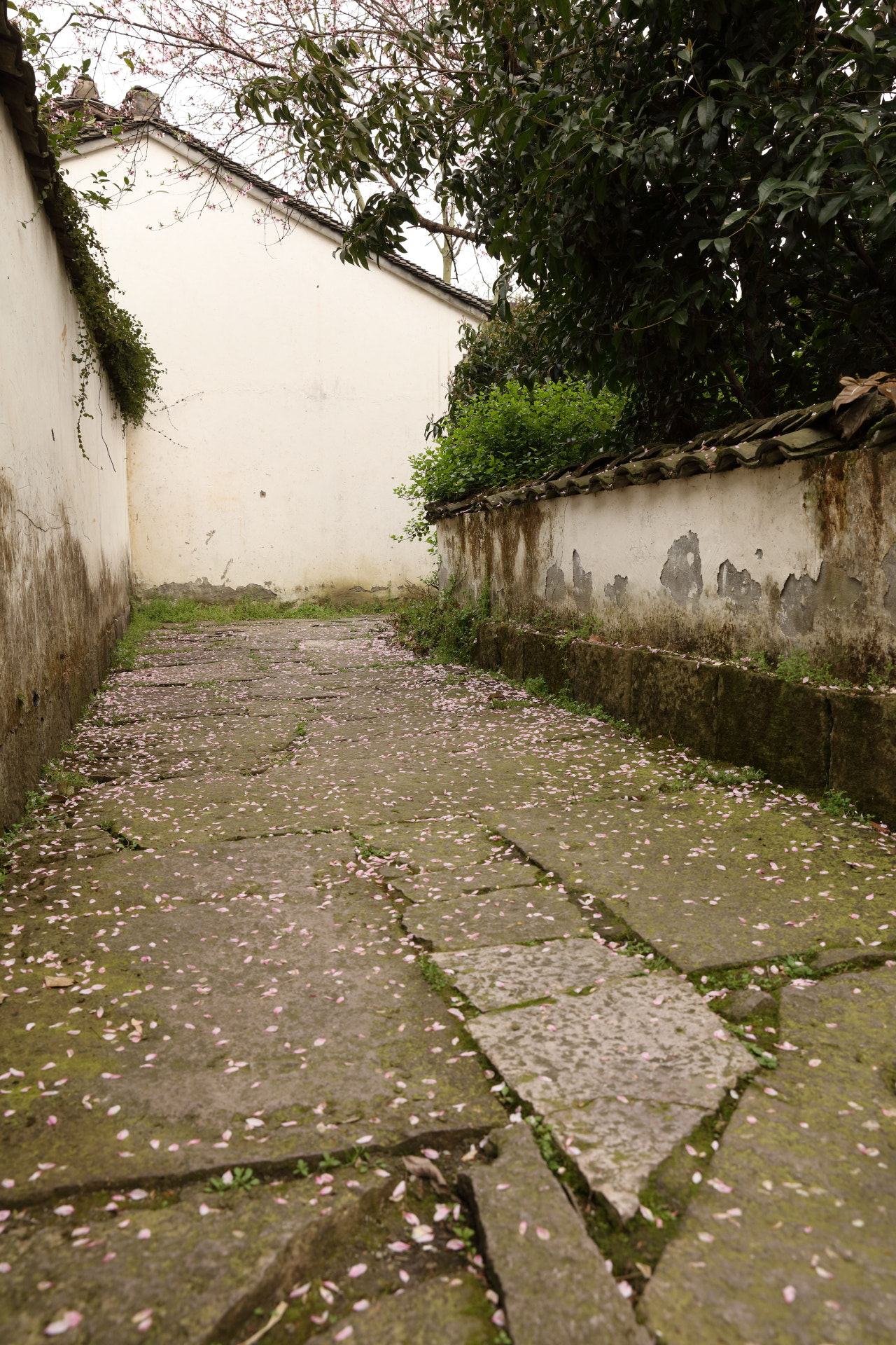 Canon EOS 5DS R sample photo. Hangzhou photography