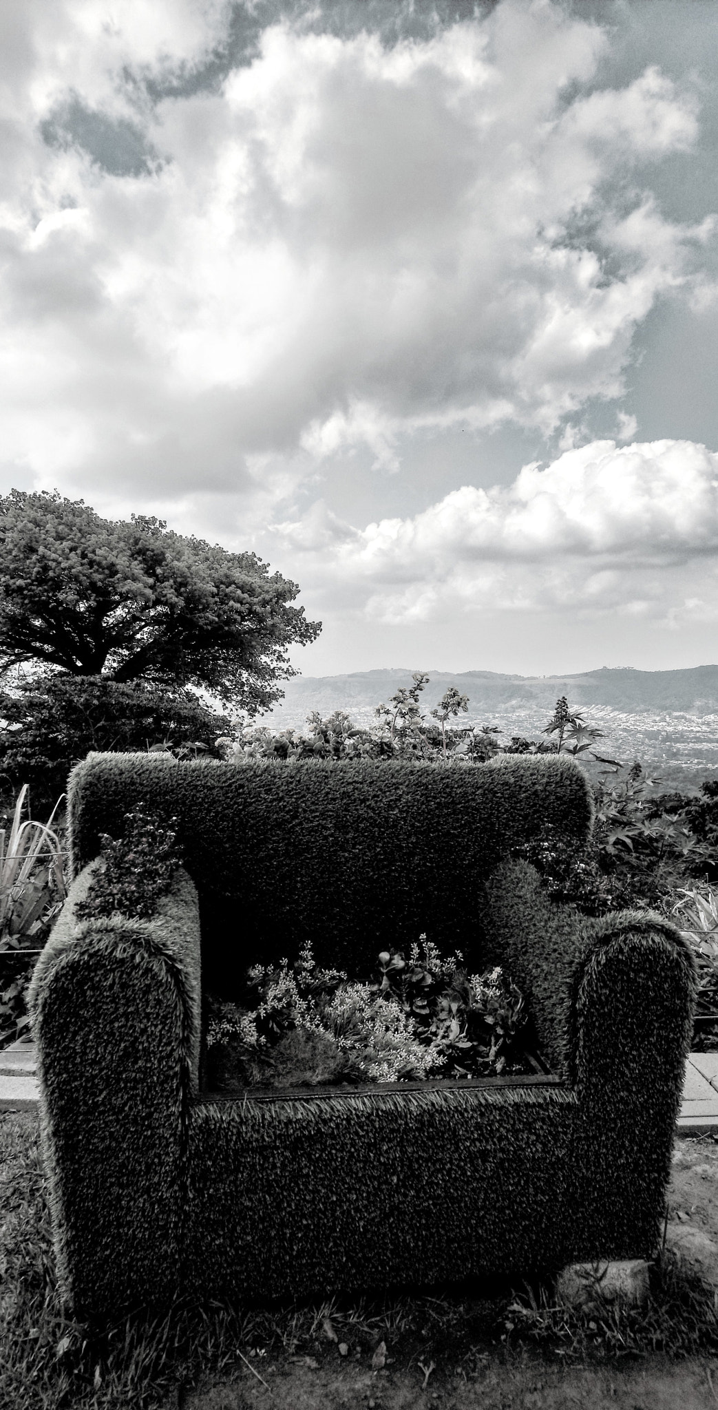 Sony Xperia XA1 Ultra sample photo. Another throne photography