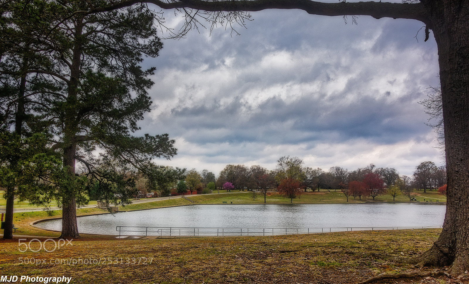 Sony Cyber-shot DSC-RX100 sample photo. Today at byrd park photography