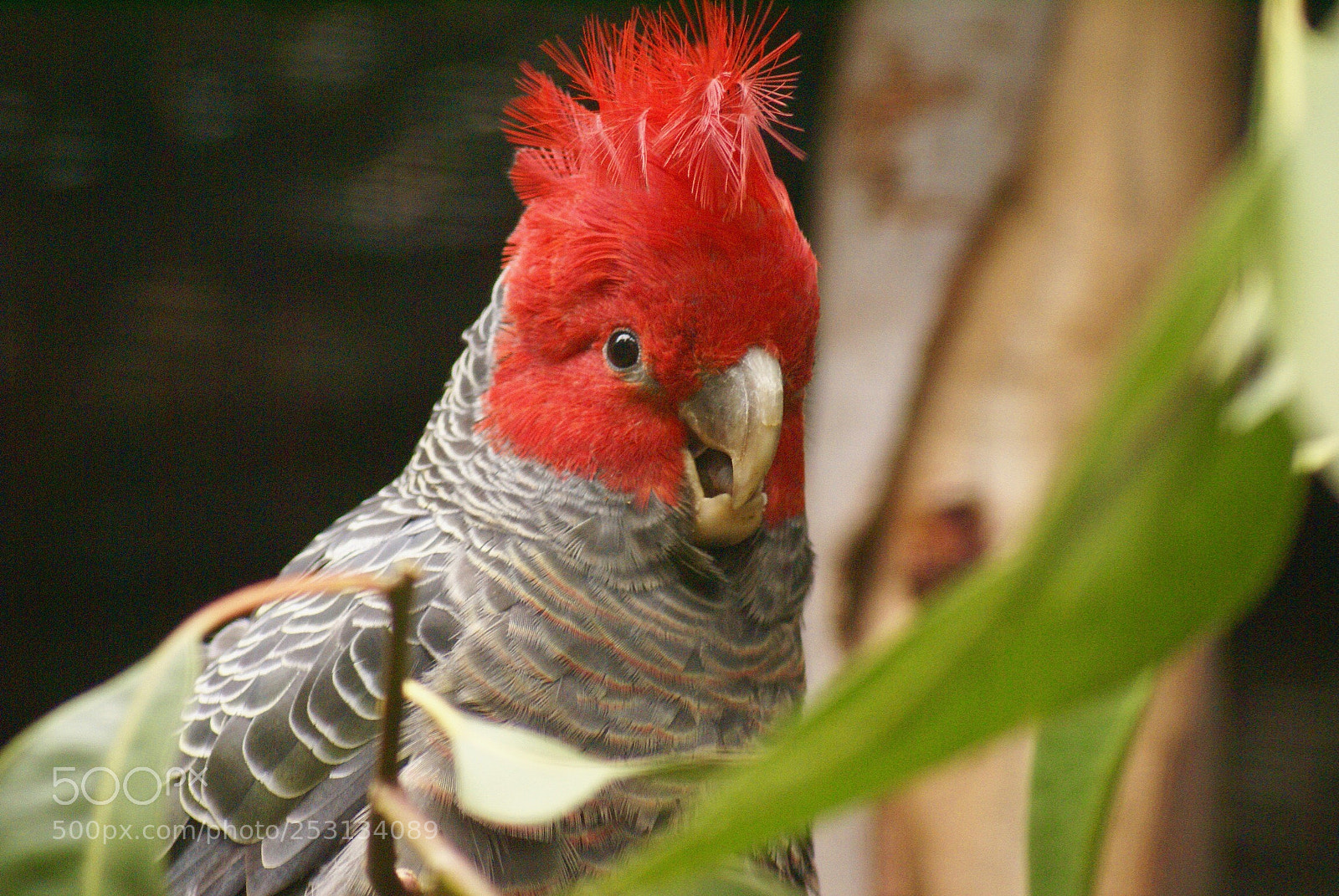 Sony Alpha DSLR-A100 sample photo. Cute photography