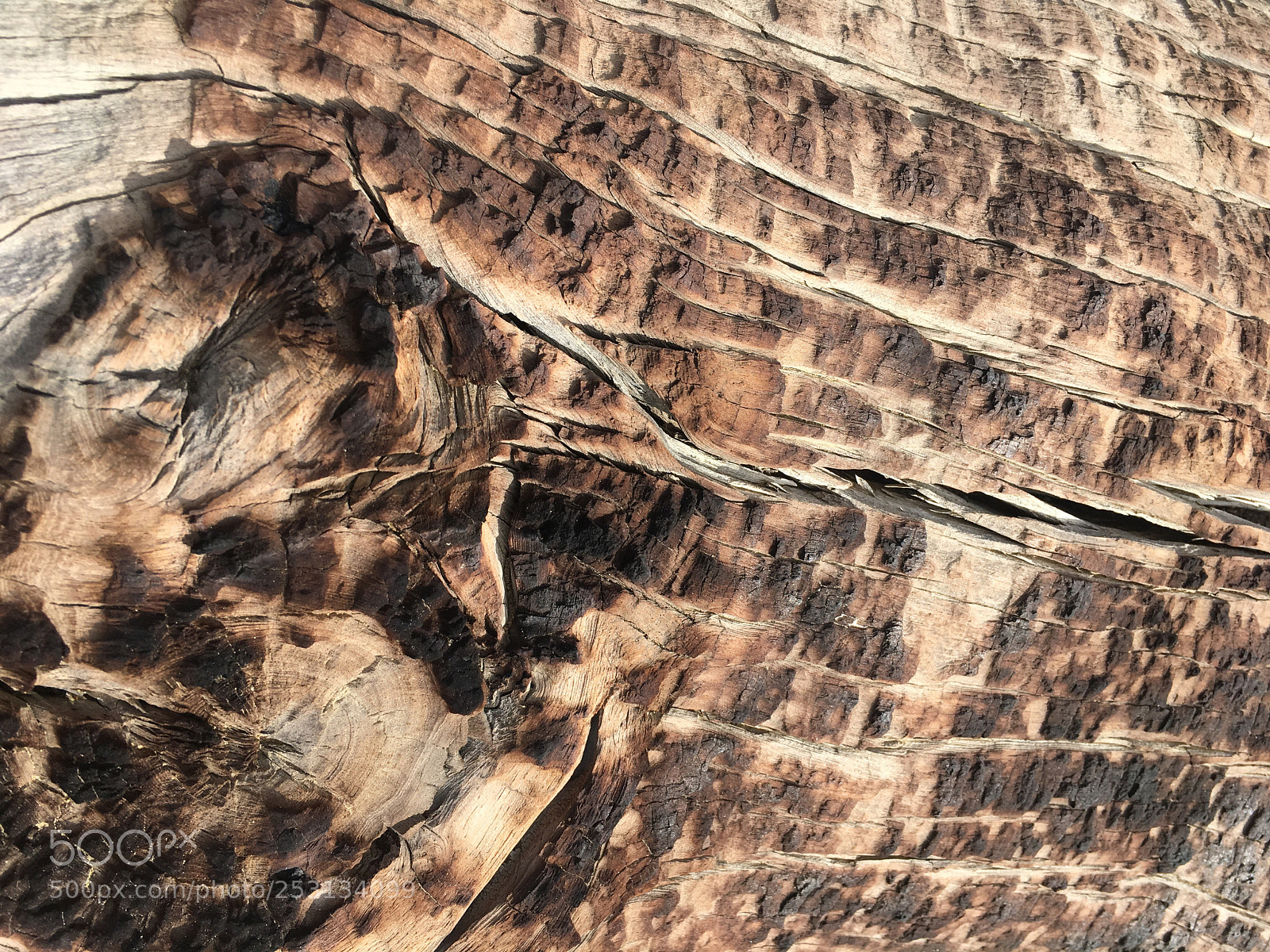 Apple iPhone 6s sample photo. Wood pattern photography