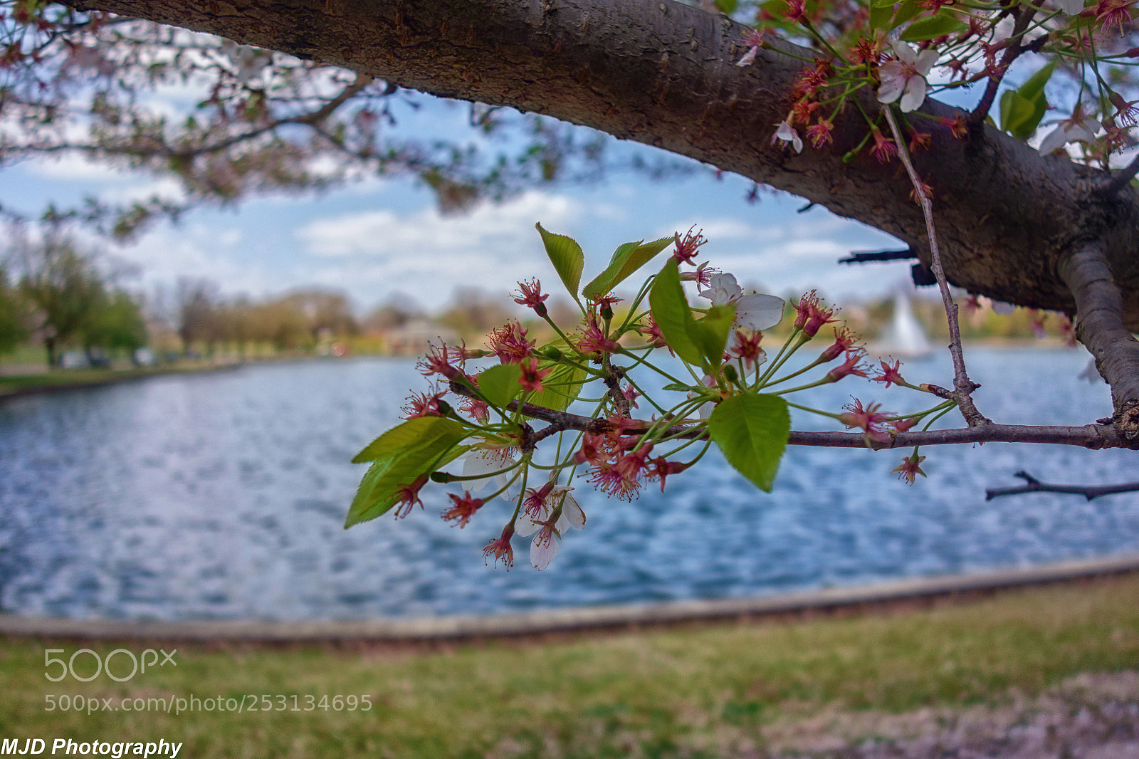 Sony Cyber-shot DSC-RX100 sample photo. Lake scene photography
