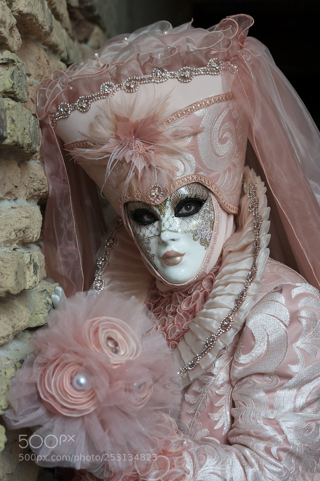 Nikon D700 sample photo. Carnaval a venise photography