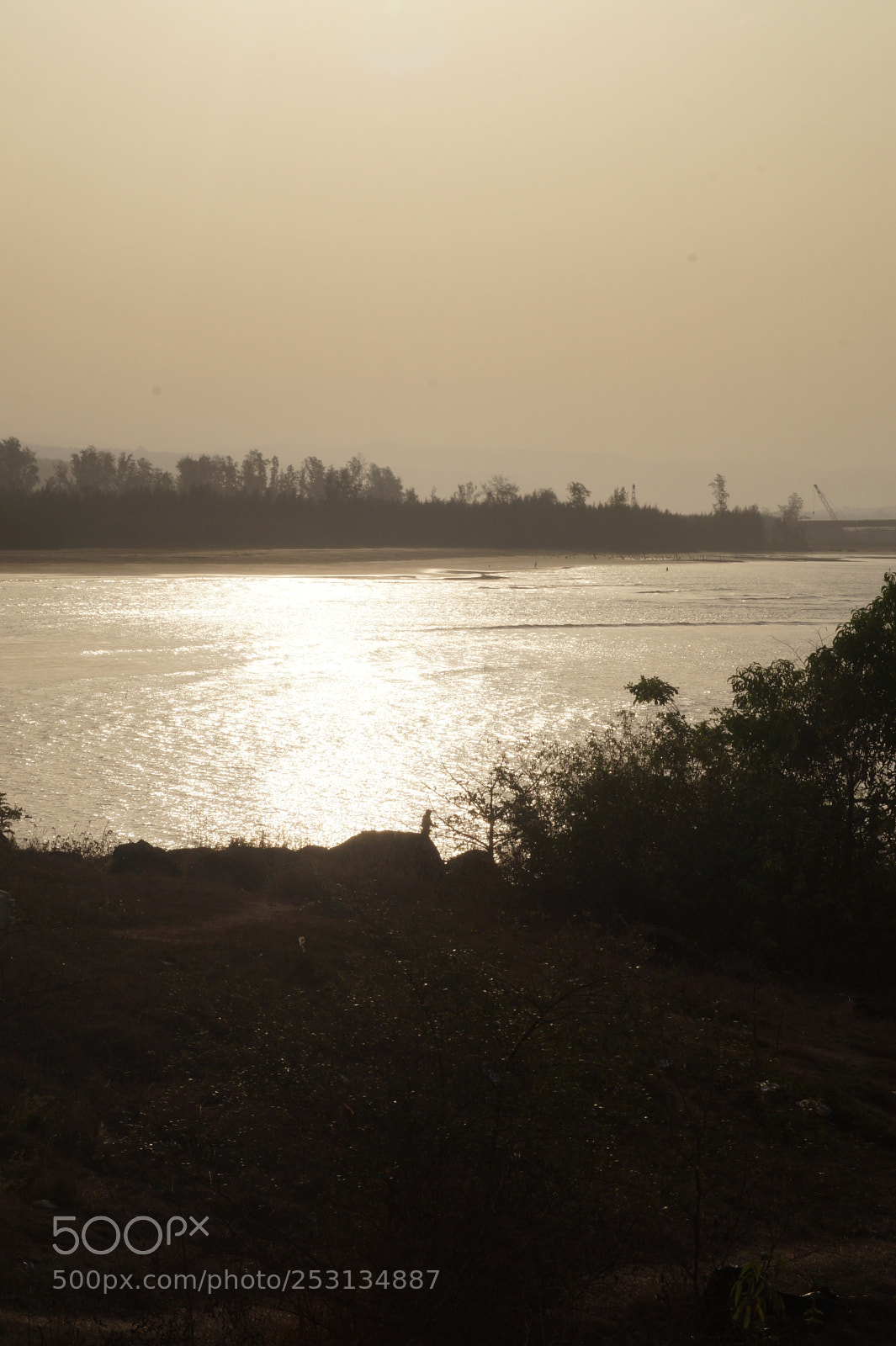 Sony SLT-A58 sample photo. Untitled photography