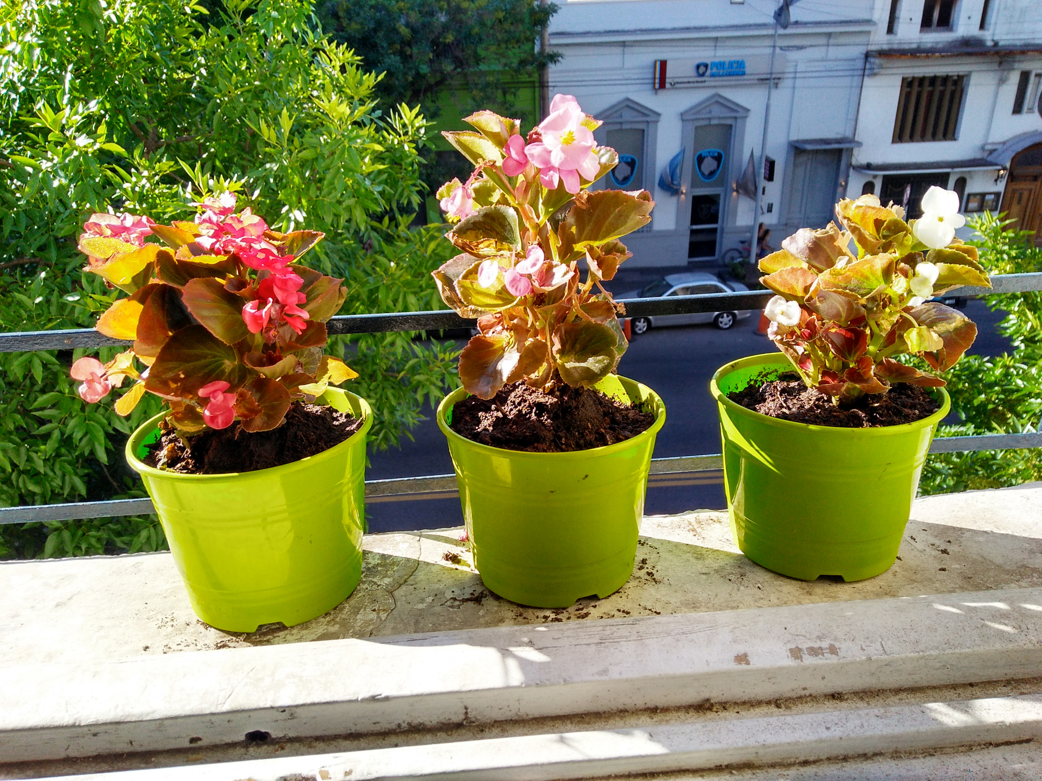 Motorola Moto G Play sample photo. Kitchen's window photography