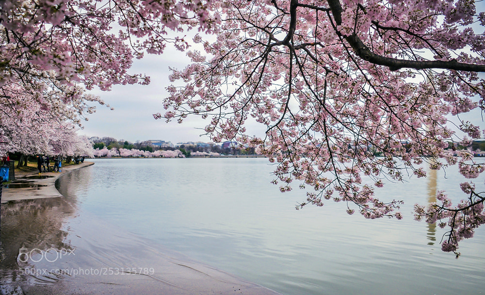 Nikon Df sample photo. Waterpath photography
