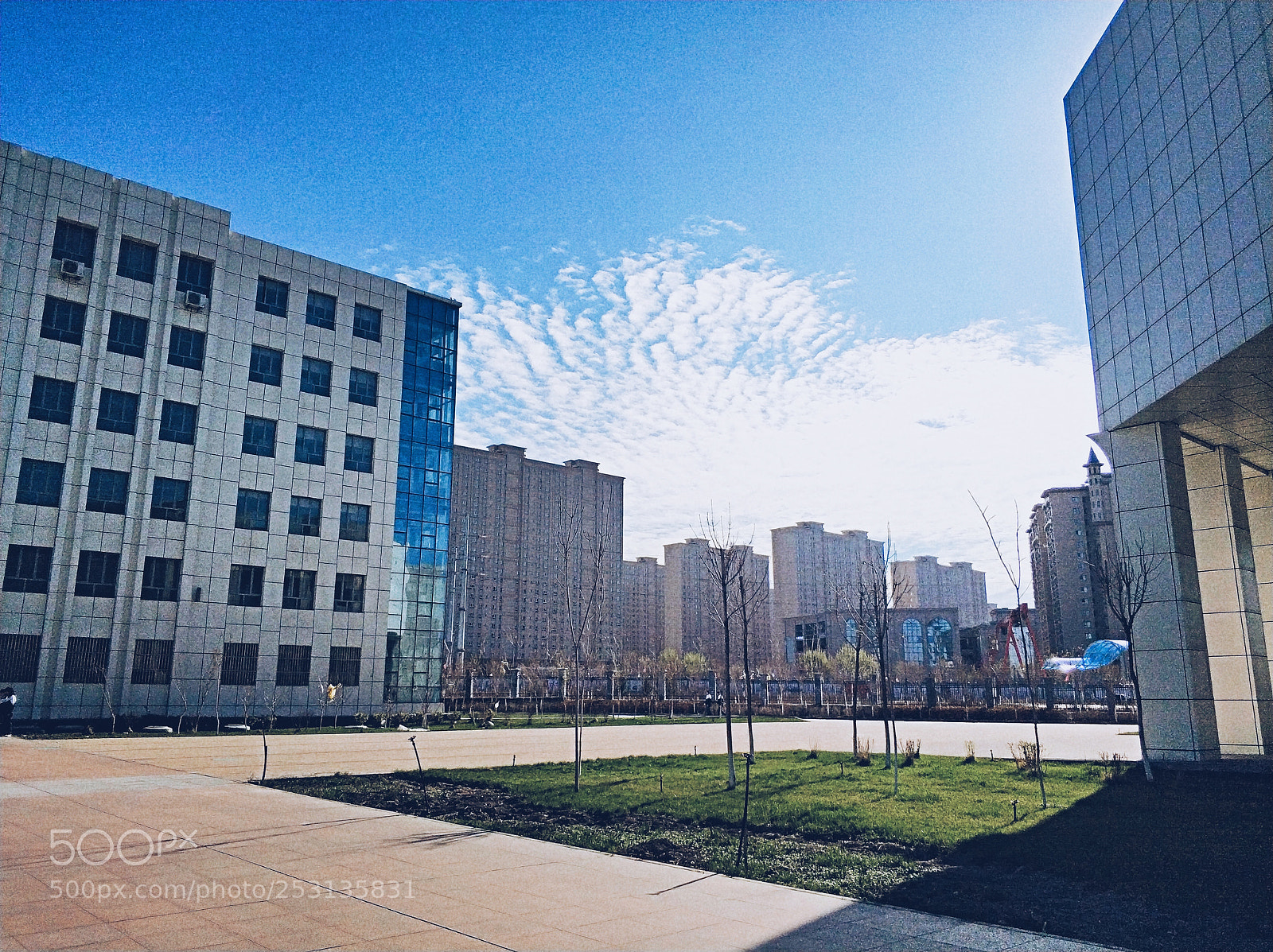 Xiaomi MI6 sample photo. Untitled photography