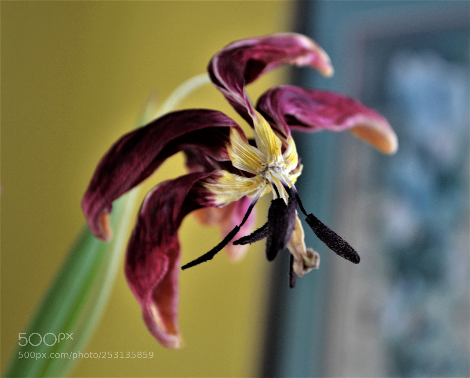 Nikon D3100 sample photo. End time photography