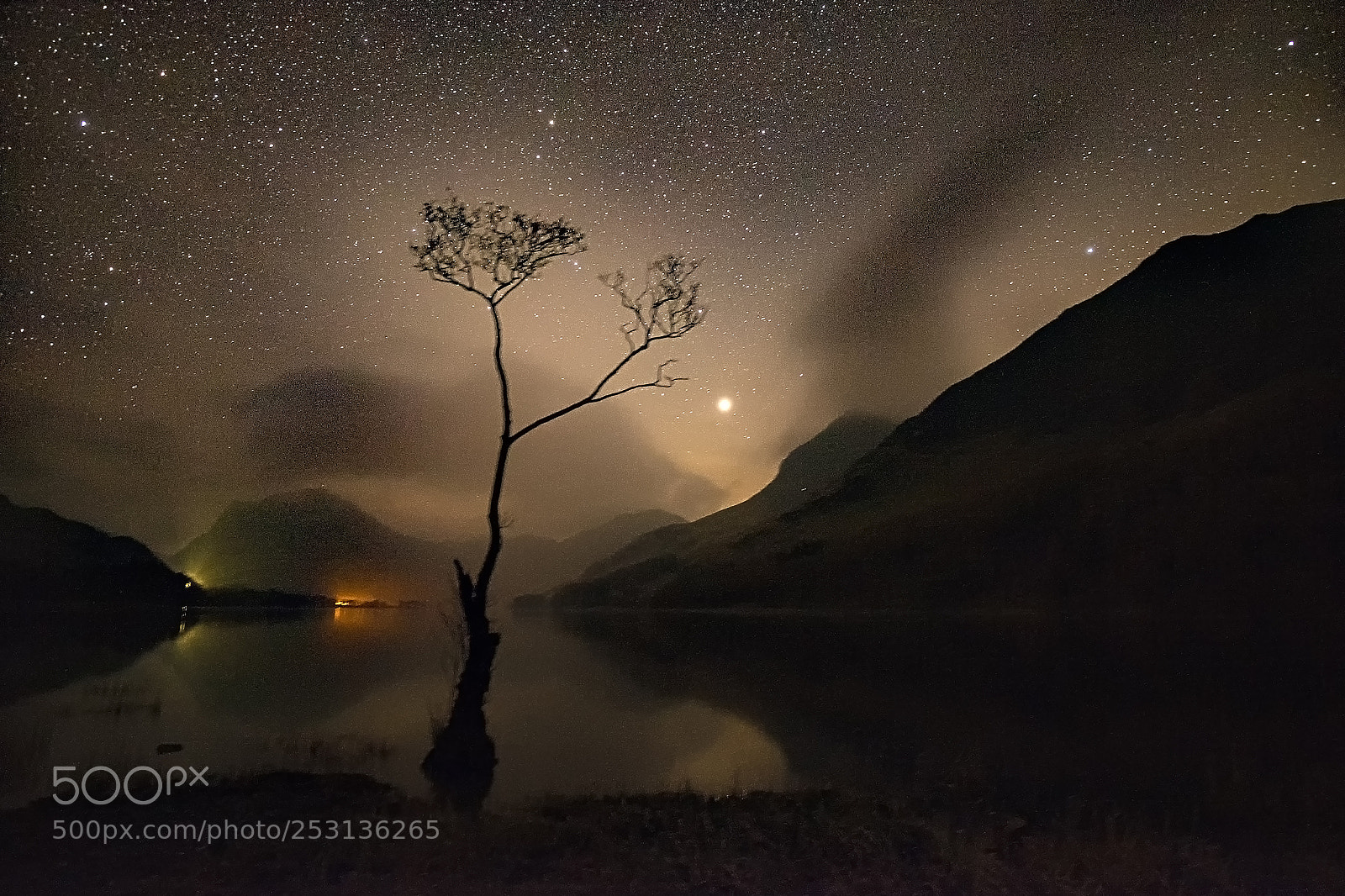 Fujifilm X-T1 sample photo. Buttermere tree stars and photography