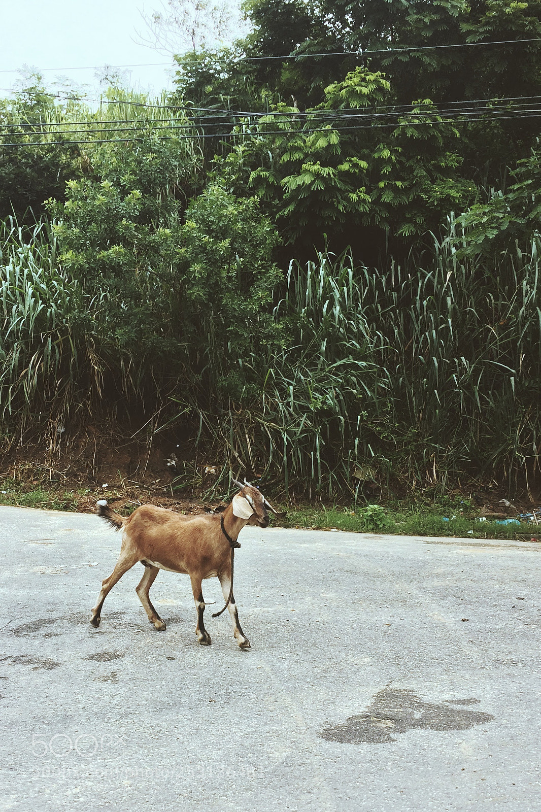 Apple iPhone 5s sample photo. Untitled photography