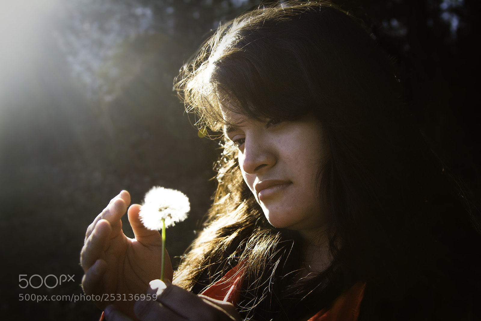 Canon EOS 7D sample photo. Magic at its best photography