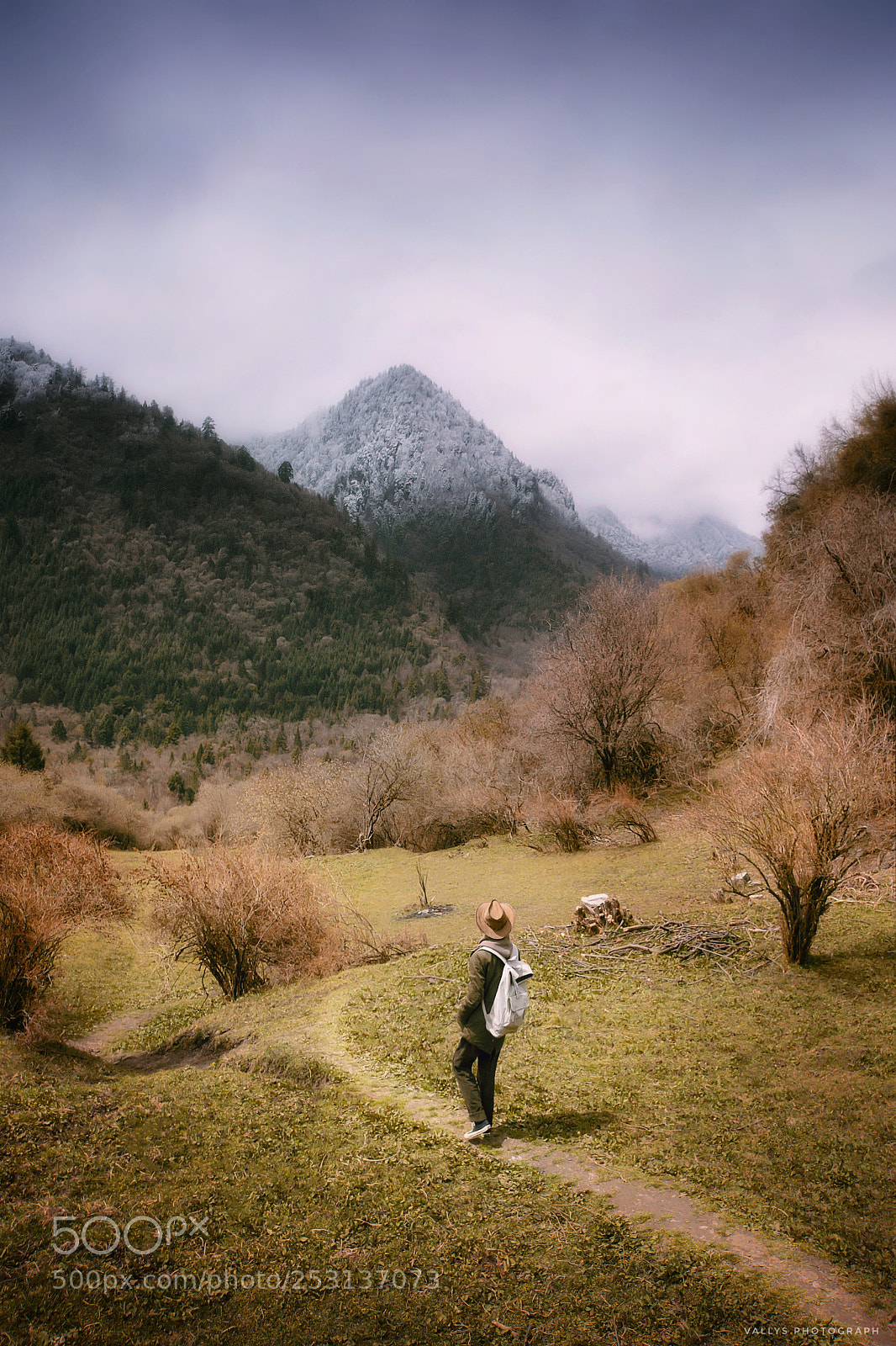 Sony Alpha NEX-7 sample photo. Crossing the wild field photography