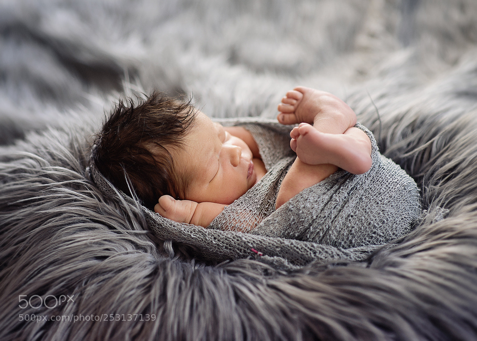 Nikon D800 sample photo. Lenny photography