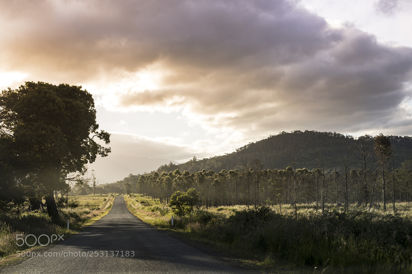 Canon EOS 6D Mark II sample photo. Tasmanian road during sunset photography