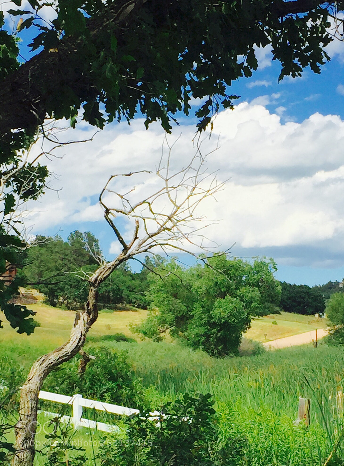 Apple iPhone 6 Plus sample photo. Wonderful life  photography