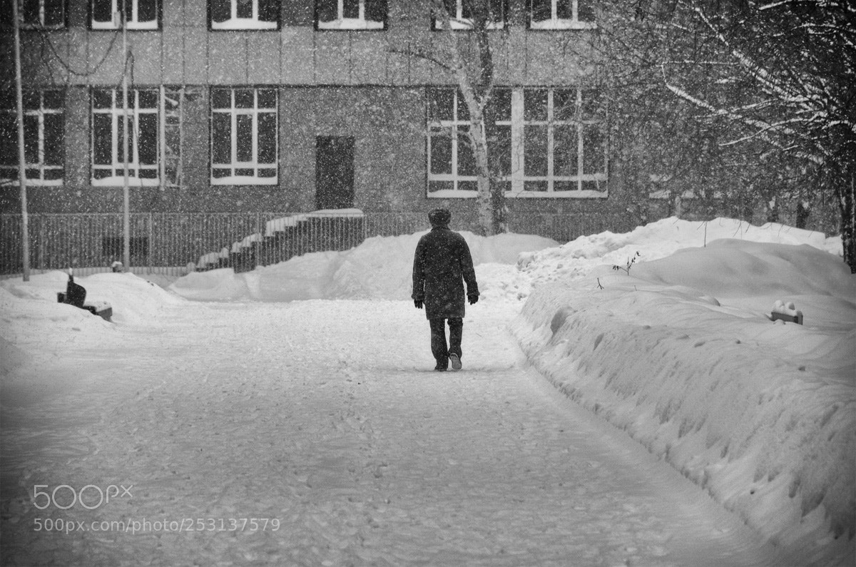 Nikon D7000 sample photo. Метель photography