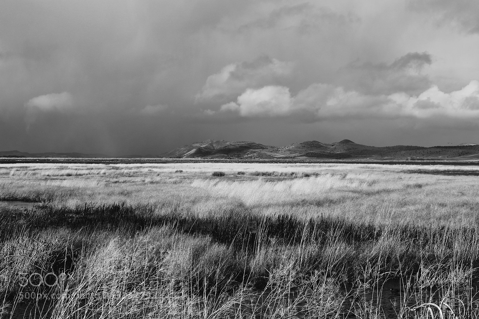 Canon EOS 7D Mark II sample photo. Storm on the horizon 1 photography
