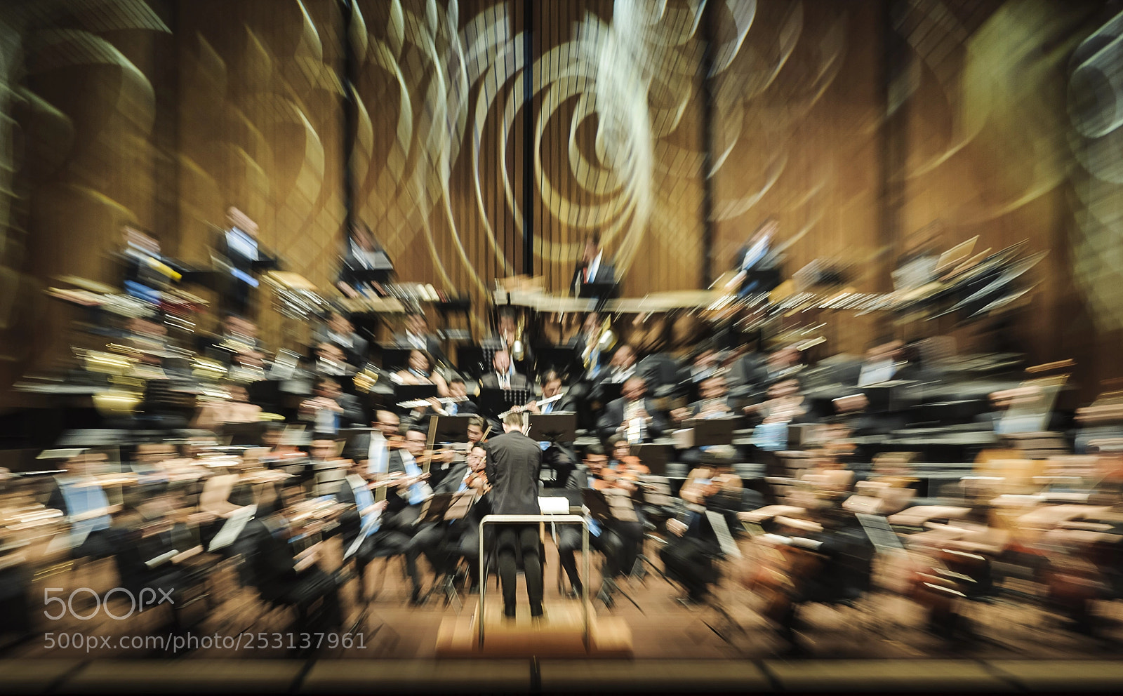 Nikon D700 sample photo. Zoomusic photography