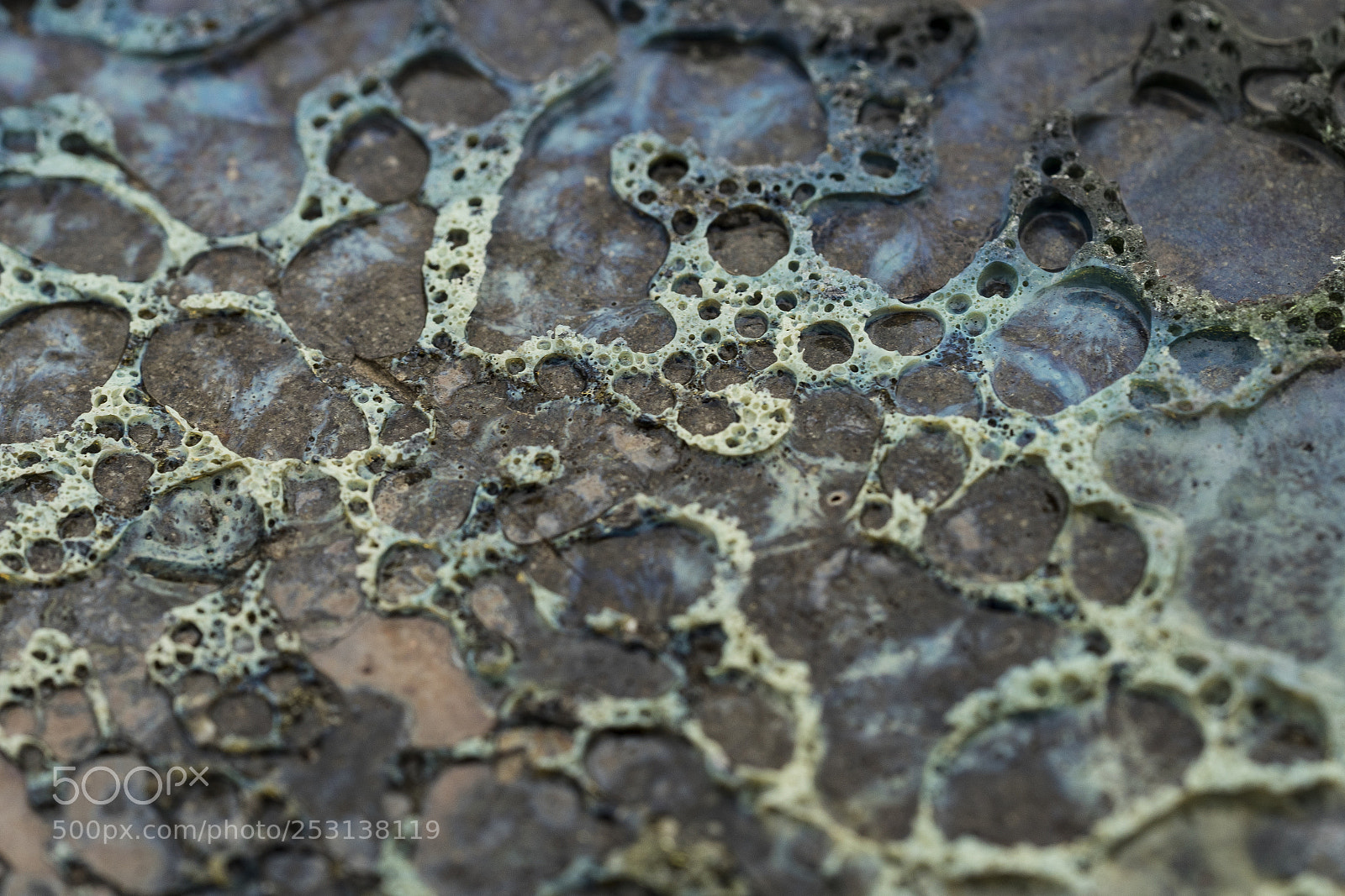 Sony a7 II sample photo. Dsc photography