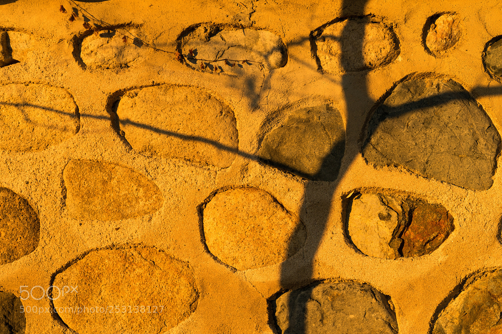 Sony a7 II sample photo. Dsc photography