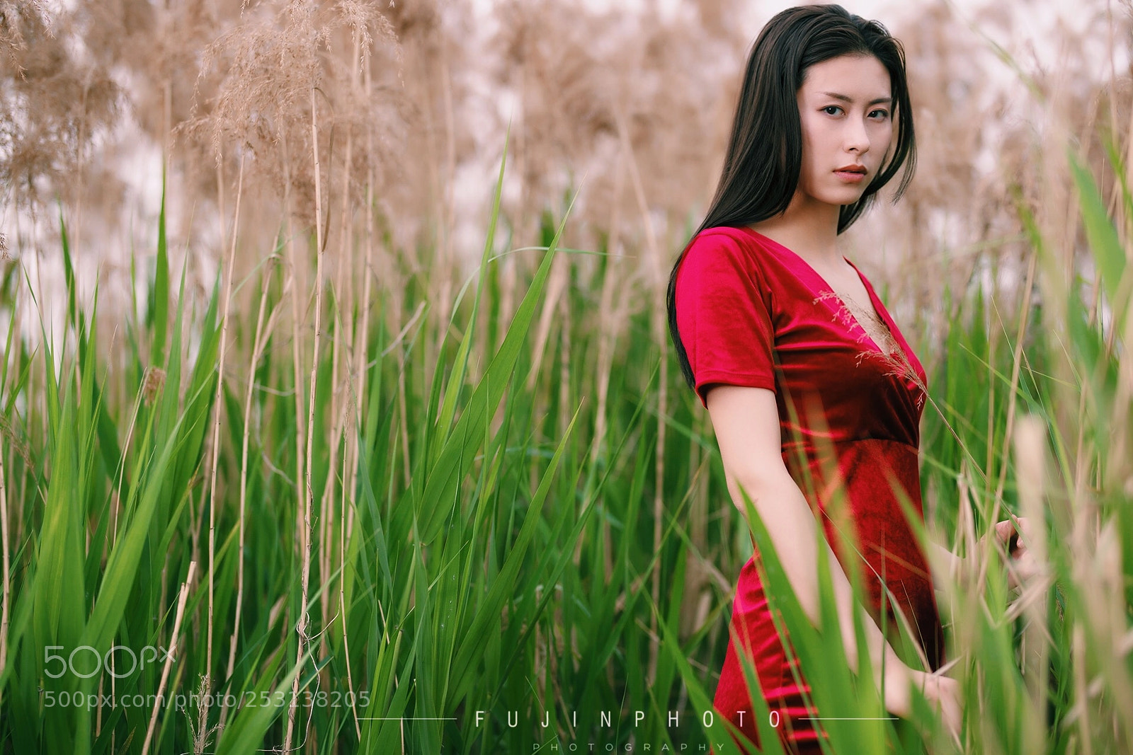Canon EOS-1D X Mark II sample photo. Untitled photography
