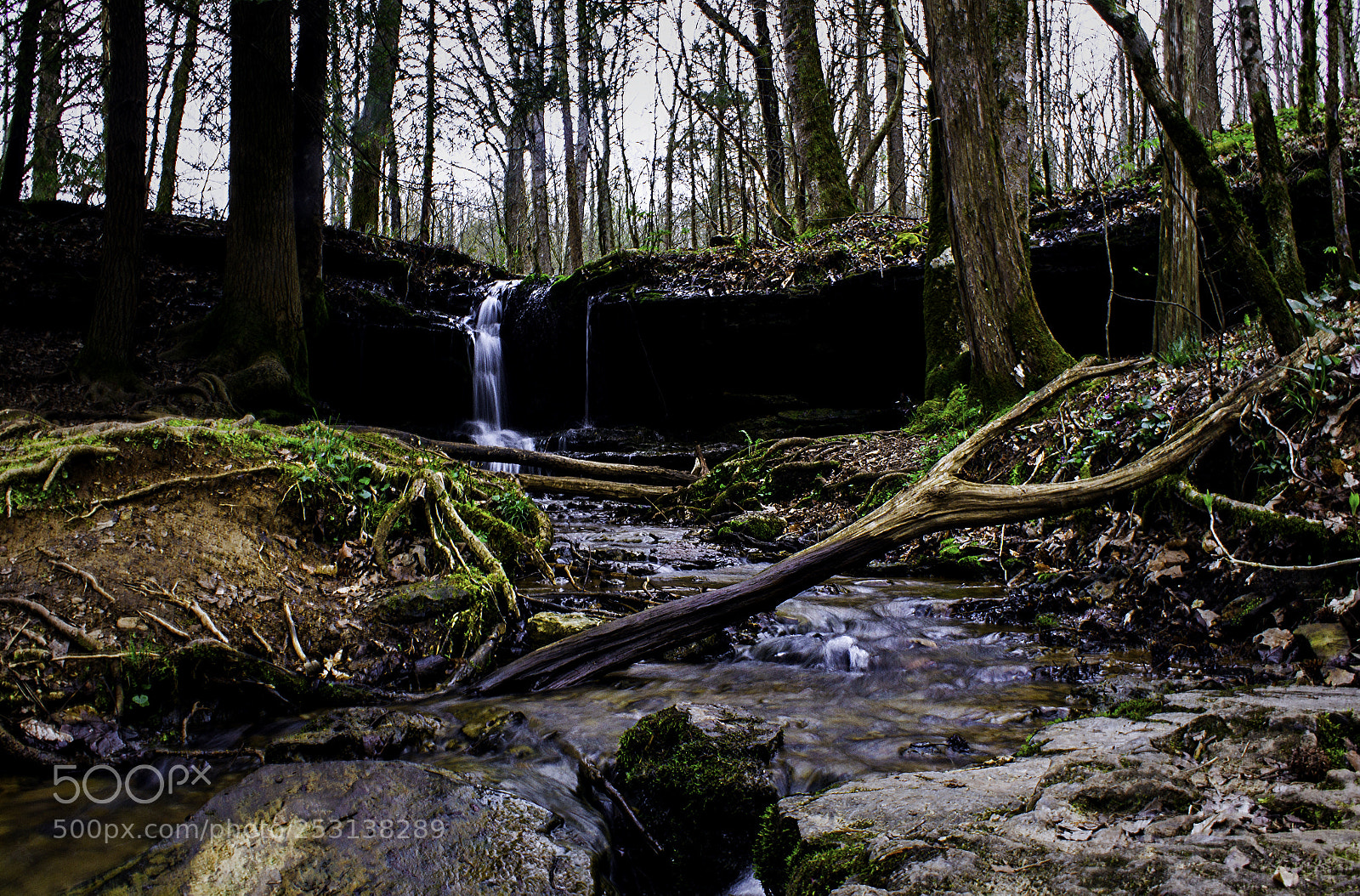 Canon EOS 7D sample photo. Img photography