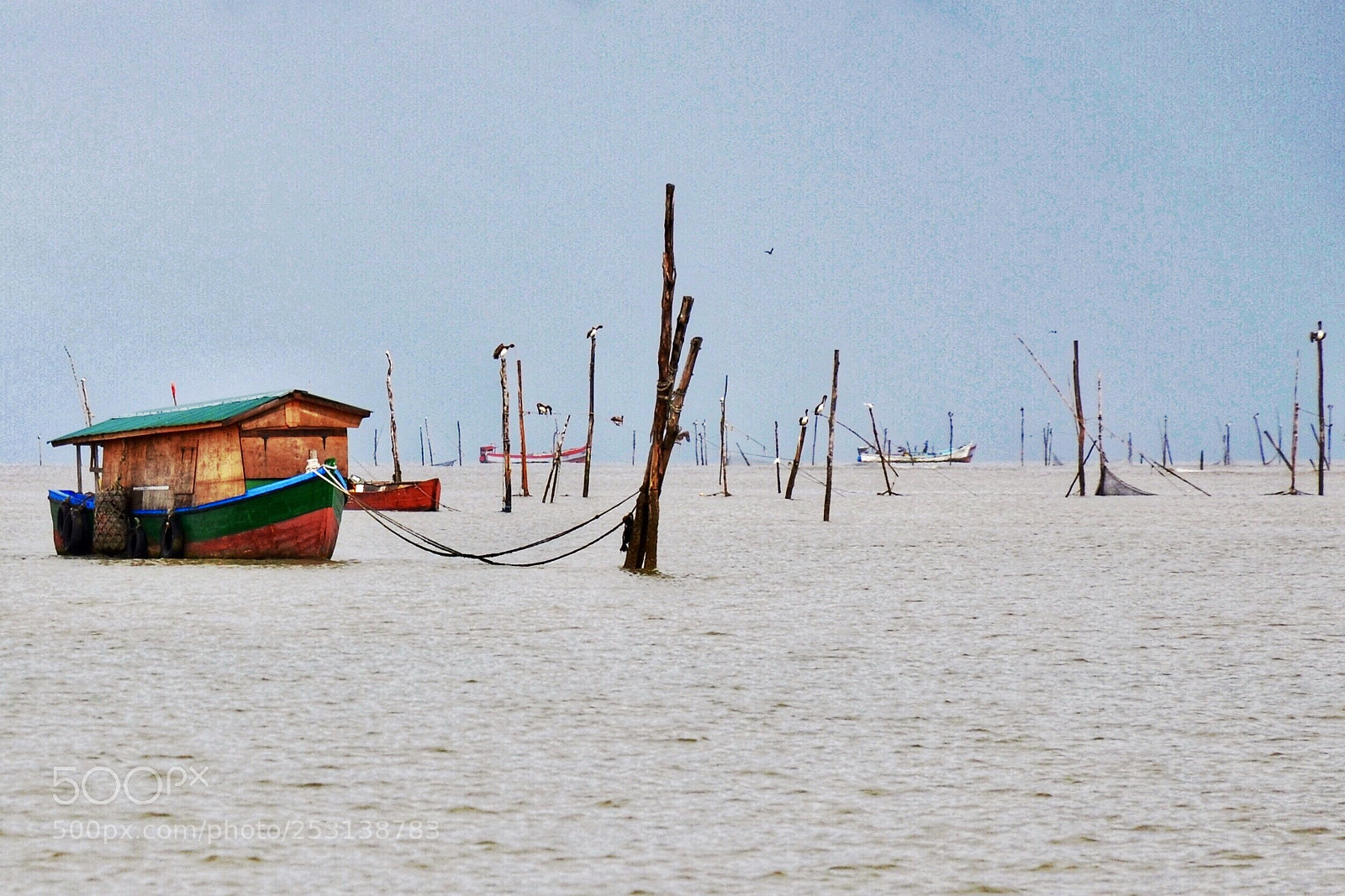 Nikon D7000 sample photo. The fisherman’s yard photography