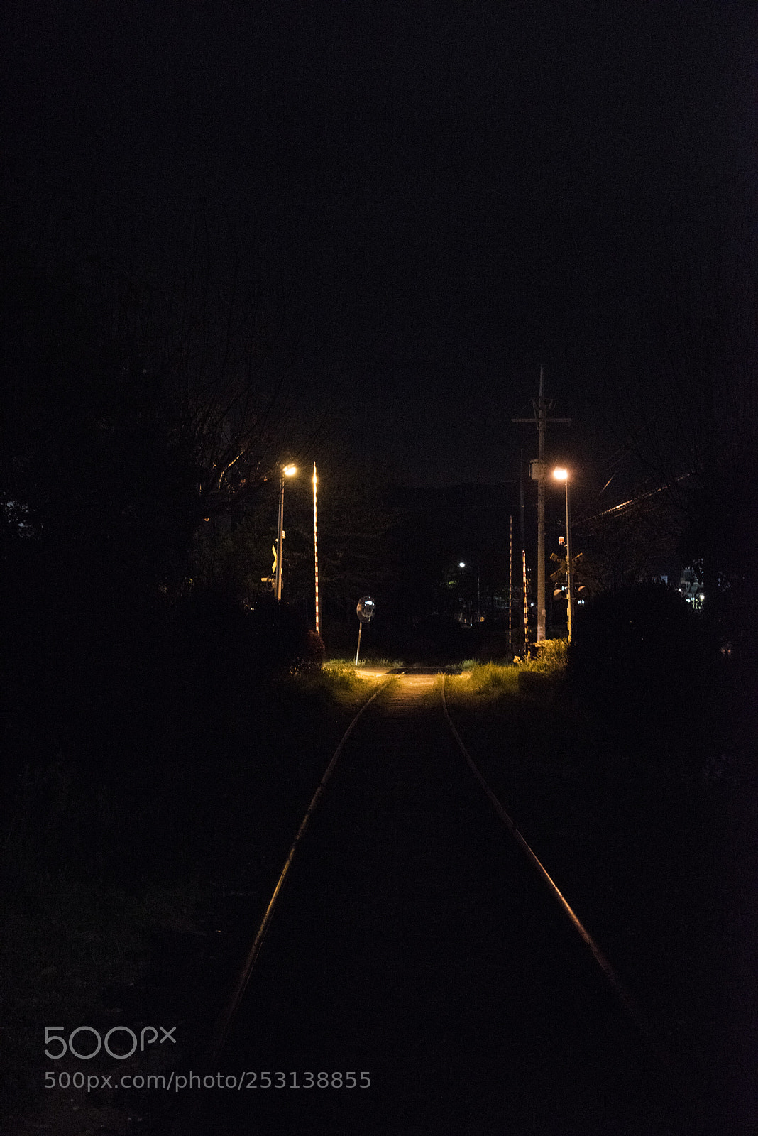 Nikon D810 sample photo. On the railroad photography