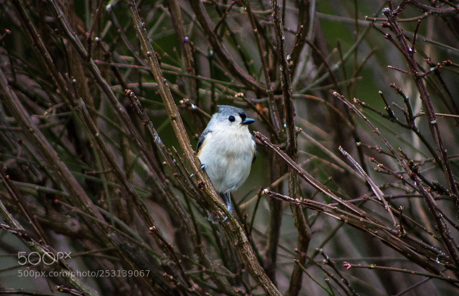 Canon EOS 7D sample photo. Img photography