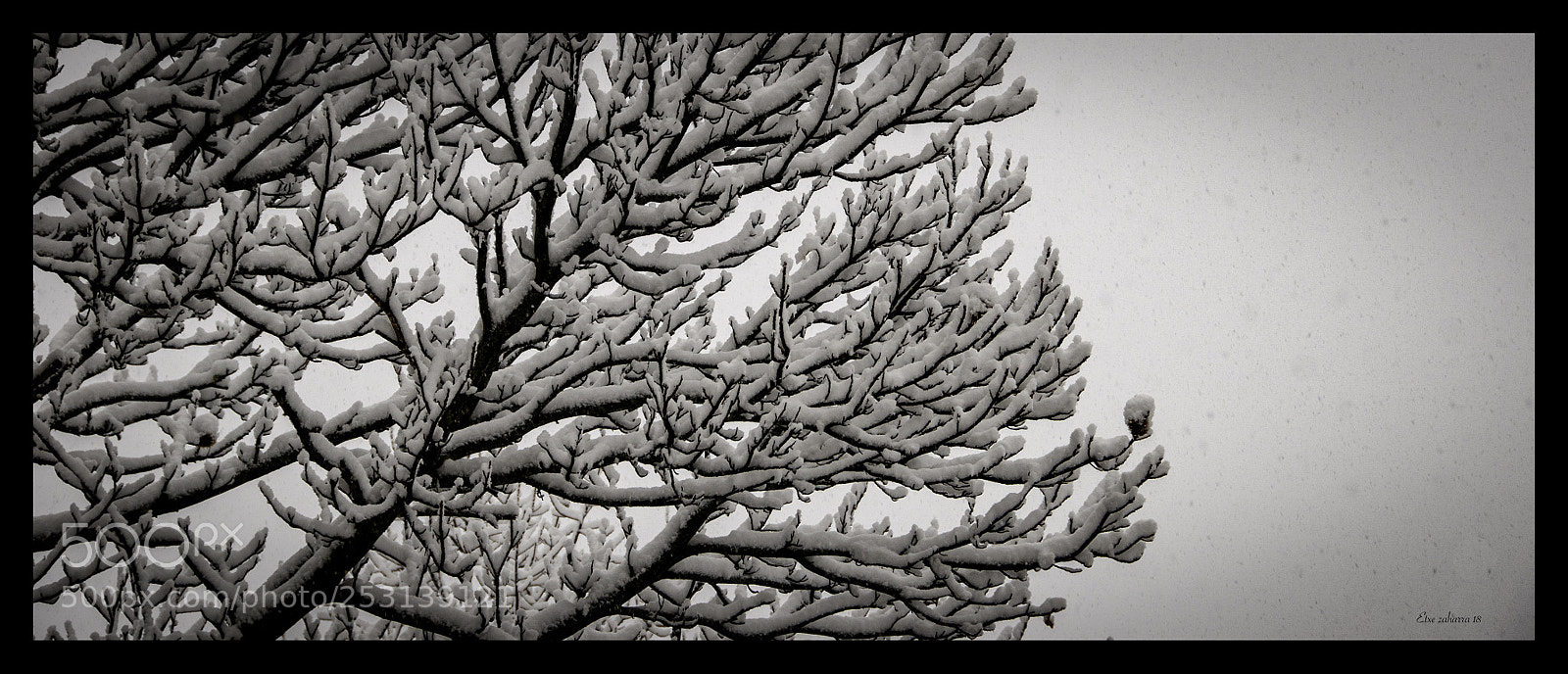 Nikon D300 sample photo. Primavera? photography