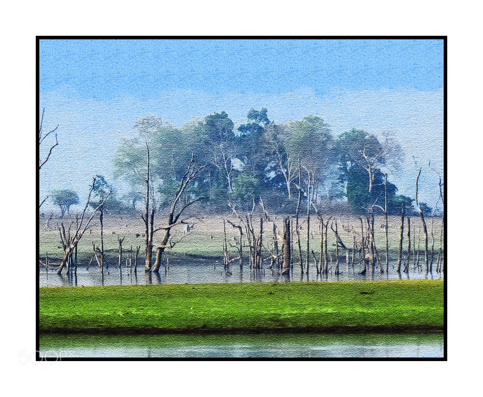 Nikon D810 sample photo. Photo painting photography