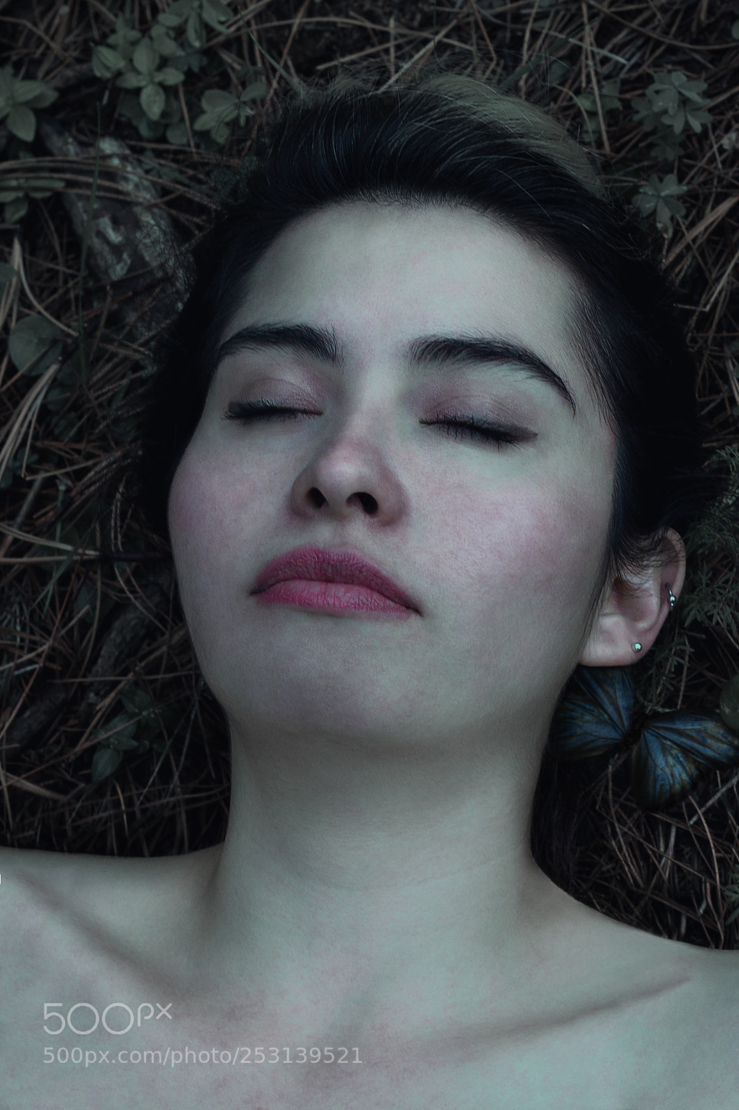 Canon EOS 550D (EOS Rebel T2i / EOS Kiss X4) sample photo. Blue butterfly photography