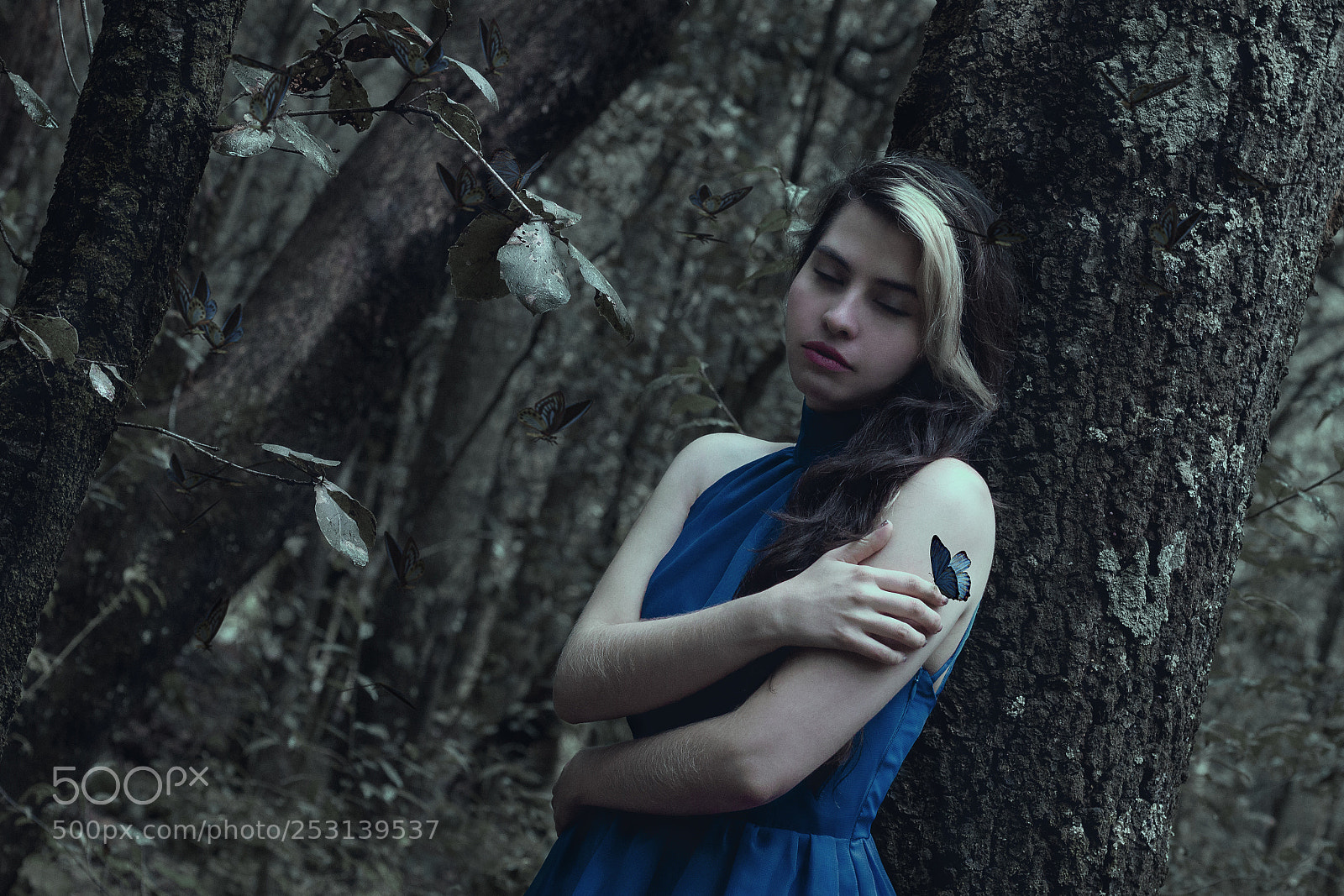 Canon EOS 550D (EOS Rebel T2i / EOS Kiss X4) sample photo. Blue butterfly photography