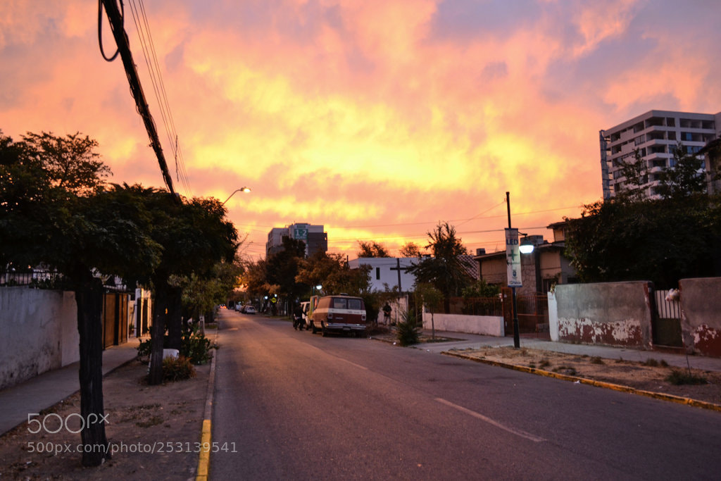 Nikon D3100 sample photo. Arrebol photography