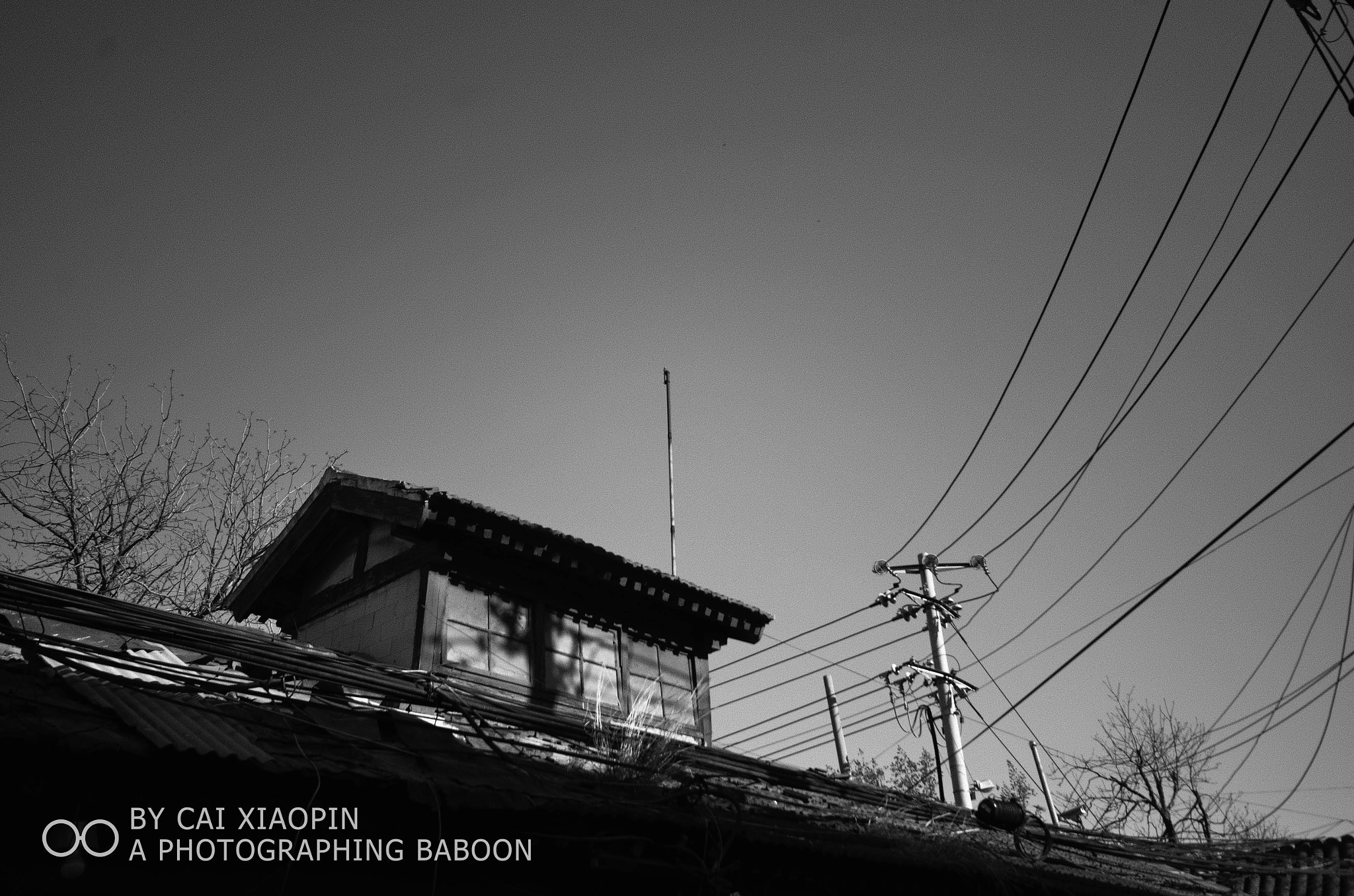 Sigma 10-20mm F4-5.6 EX DC HSM sample photo. 这一年我24岁，终于开始相信人的精力是有限的，不论是对别人还是自己。 photography