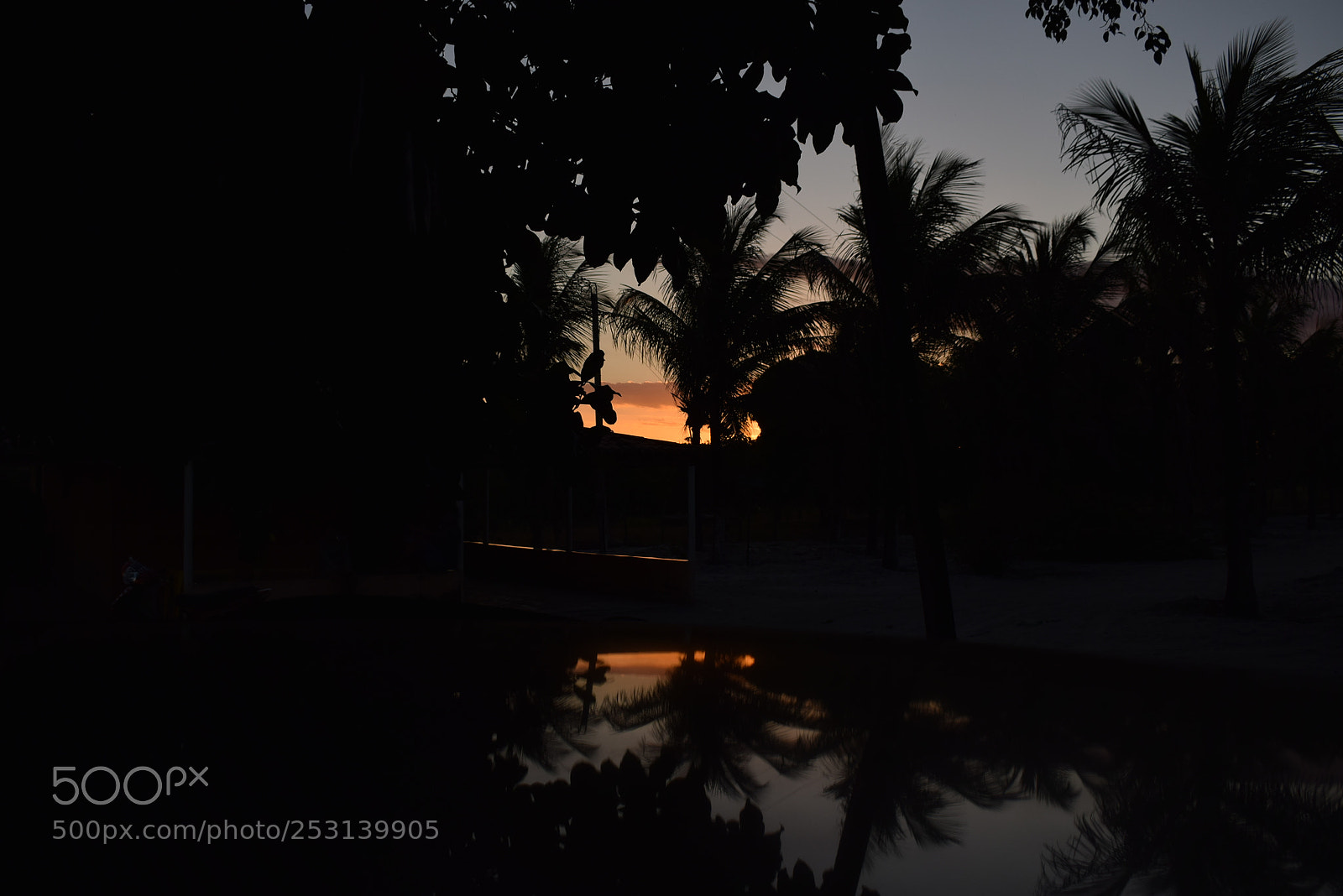 Nikon D5300 sample photo. Por do sol photography