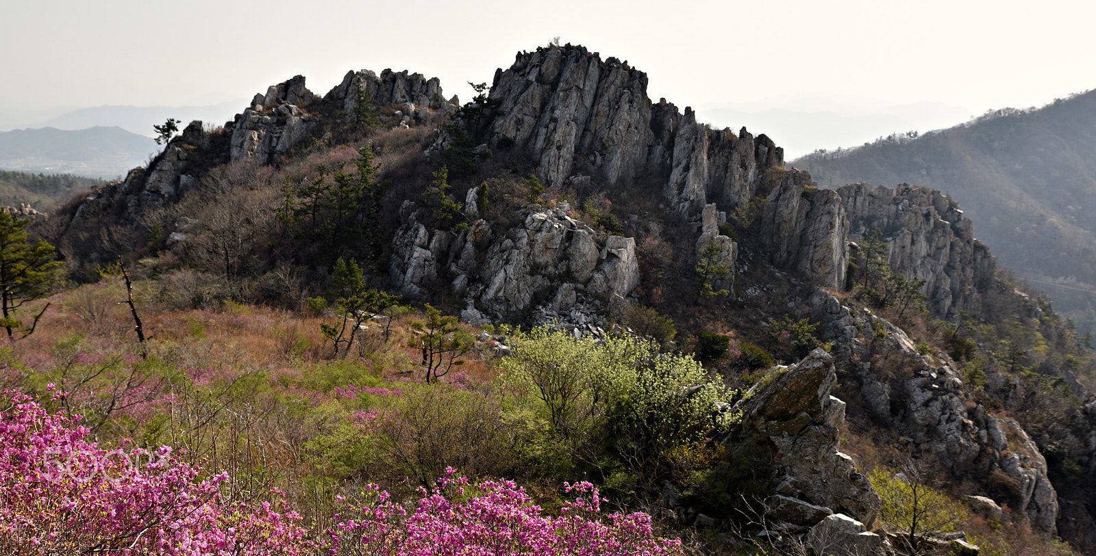 Nikon D810 + Tamron SP 24-70mm F2.8 Di VC USD sample photo. Spring mountains photography